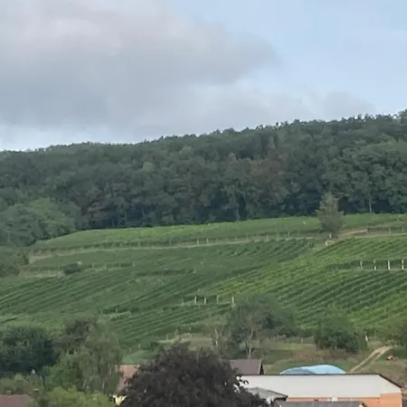 In Den Weinbergen Apartament