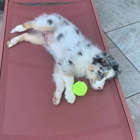 In Den Weinbergen Kuffern