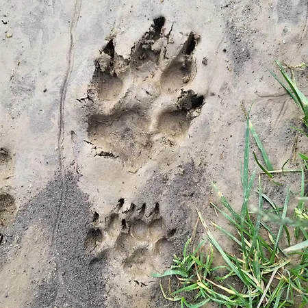 Apartment In Den Weinbergen *