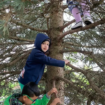 In Den Weinbergen Apartment
