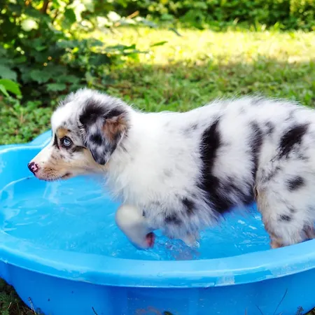 In Den Weinbergen Apartament Kuffern
