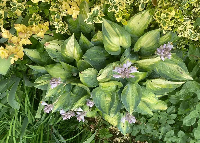 In Den Weinbergen Kuffern