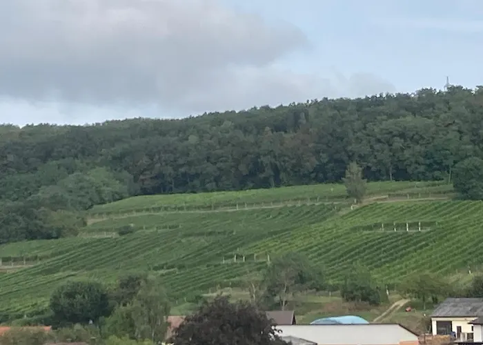 In Den Weinbergen Apartament