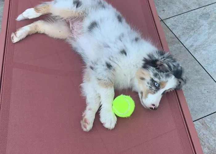 In Den Weinbergen Kuffern