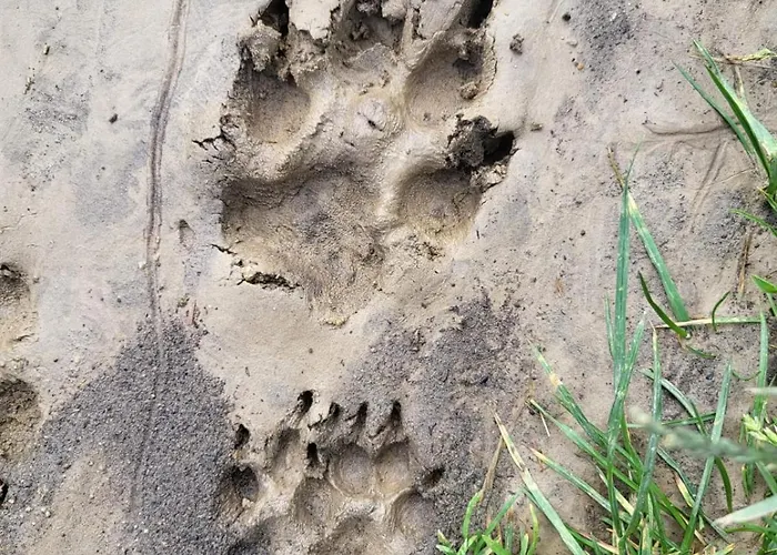 Apartment In Den Weinbergen *
