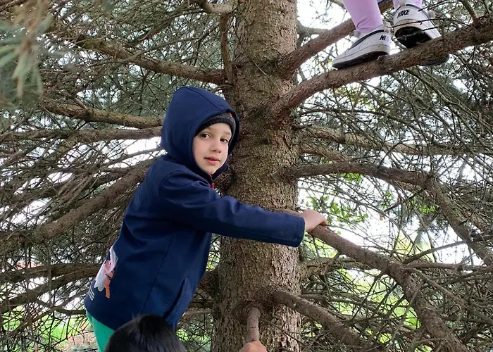 In Den Weinbergen Apartment