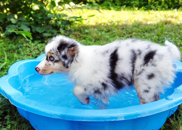 In Den Weinbergen Apartment Kuffern